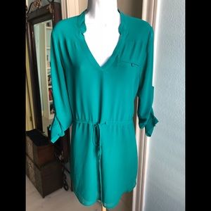 Naked Zebra Teal Dress